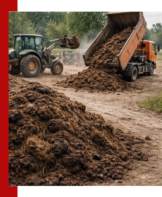 Доставка навоза самосвалами в Воронеже для сельхозпотребностей